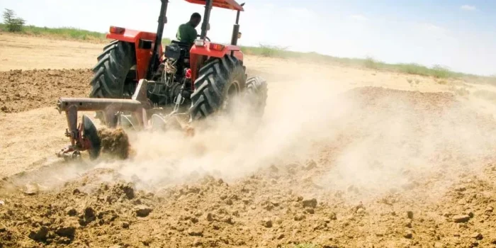 The-Most-Common-Crops-Grown-with-Tractors-in-Ghana-800x600